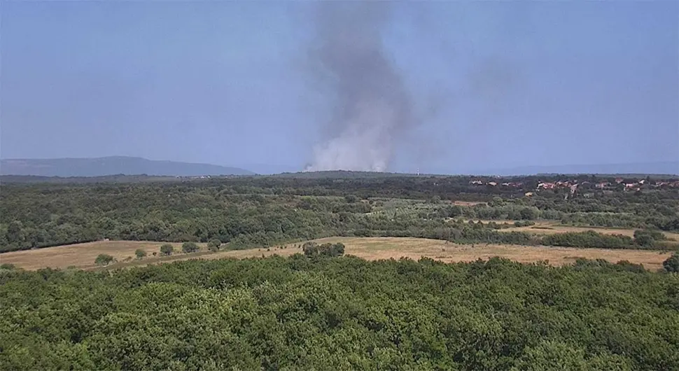 požar istra.webp